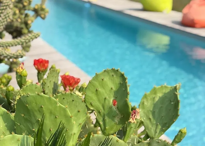 Appartement Alice's And Oasis Poitiers